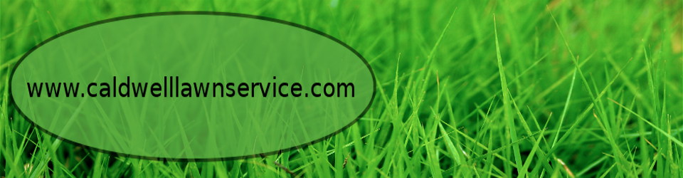 Caldwell Lawn Service